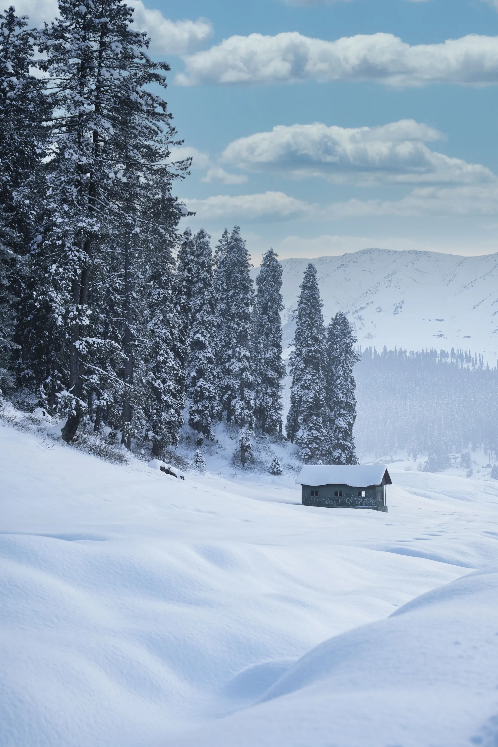 Gulmarg - Kashmir tourist destination by TDI Holiday Ventures