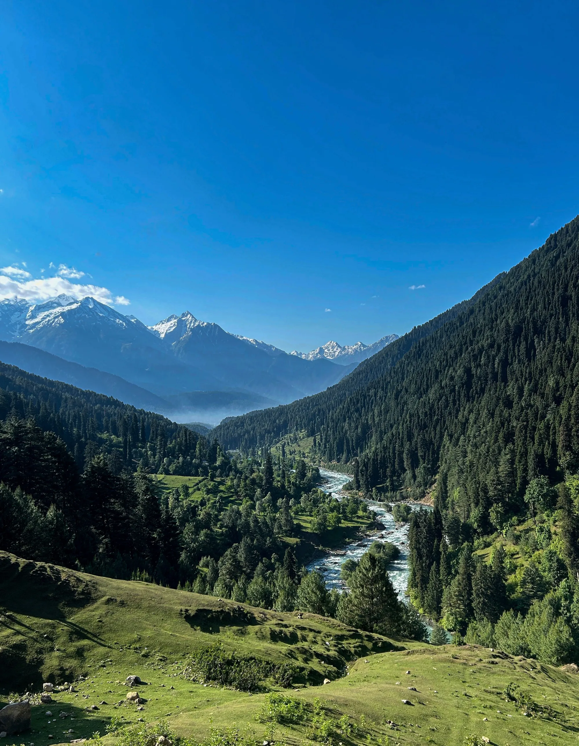 Pine Spring Resort - Kashmir hotel by TDI Holiday Ventures