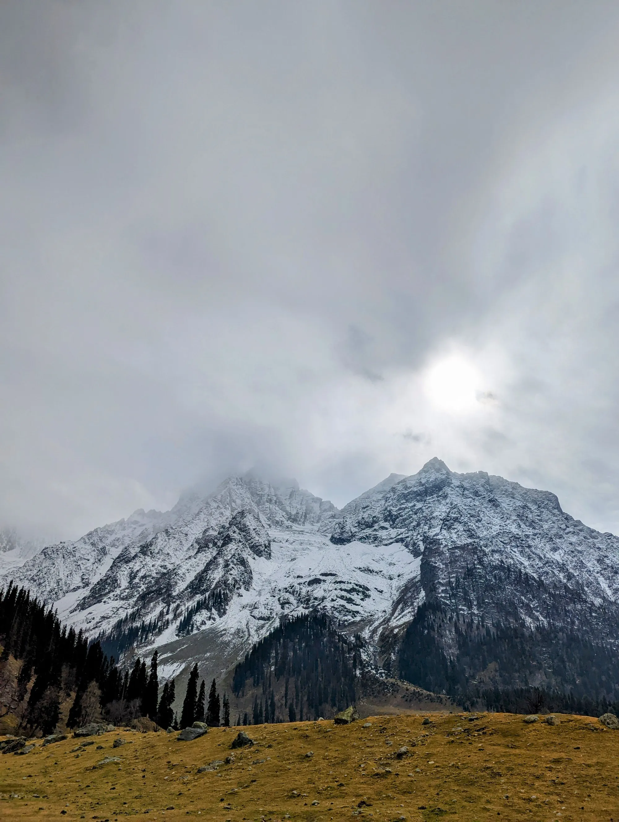 Hotel Snow Land - Kashmir hotel by TDI Holiday Ventures