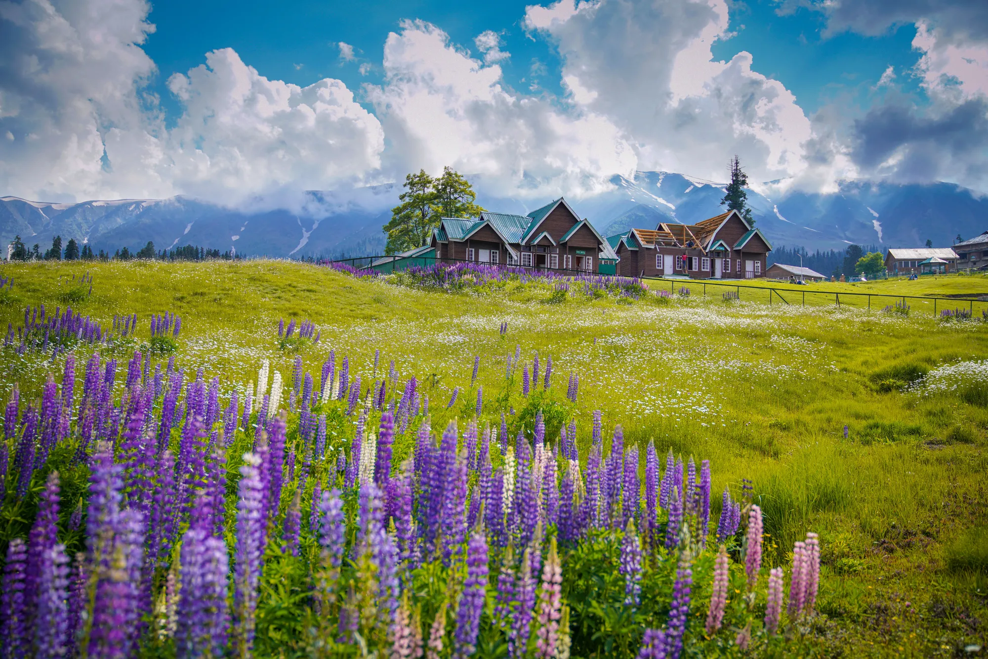 Kashmir in Summer — Best Time for Sightseeing & Adventure - Kashmir travel blog by TDI Holiday Ventures
